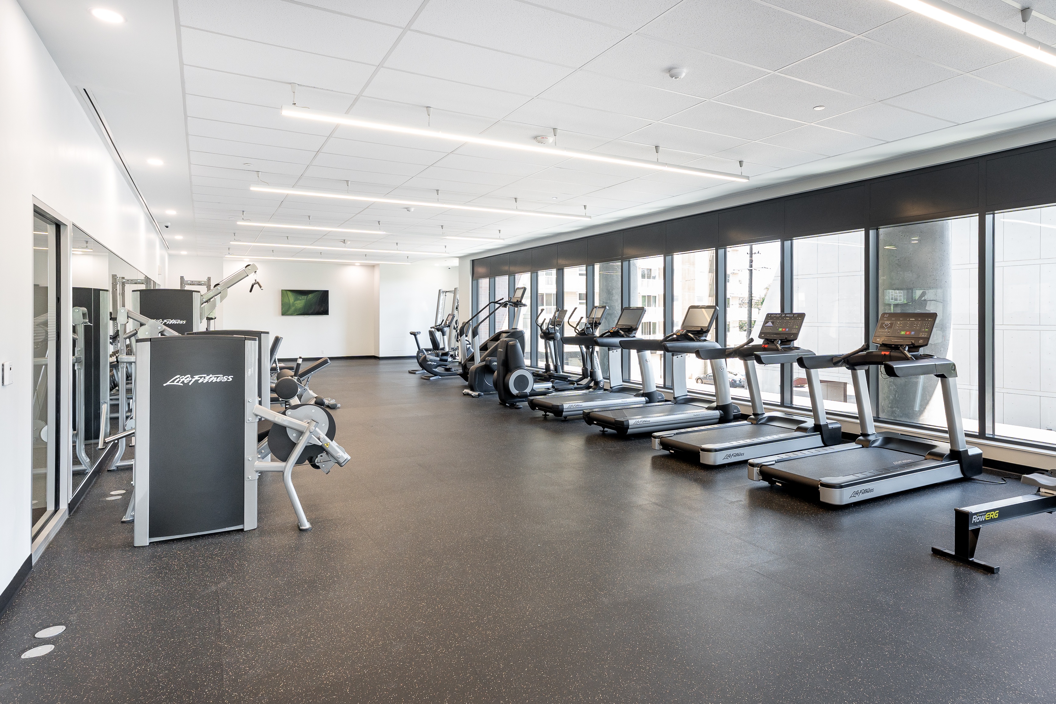 A gym with treadmills, weights, and exercise machines.